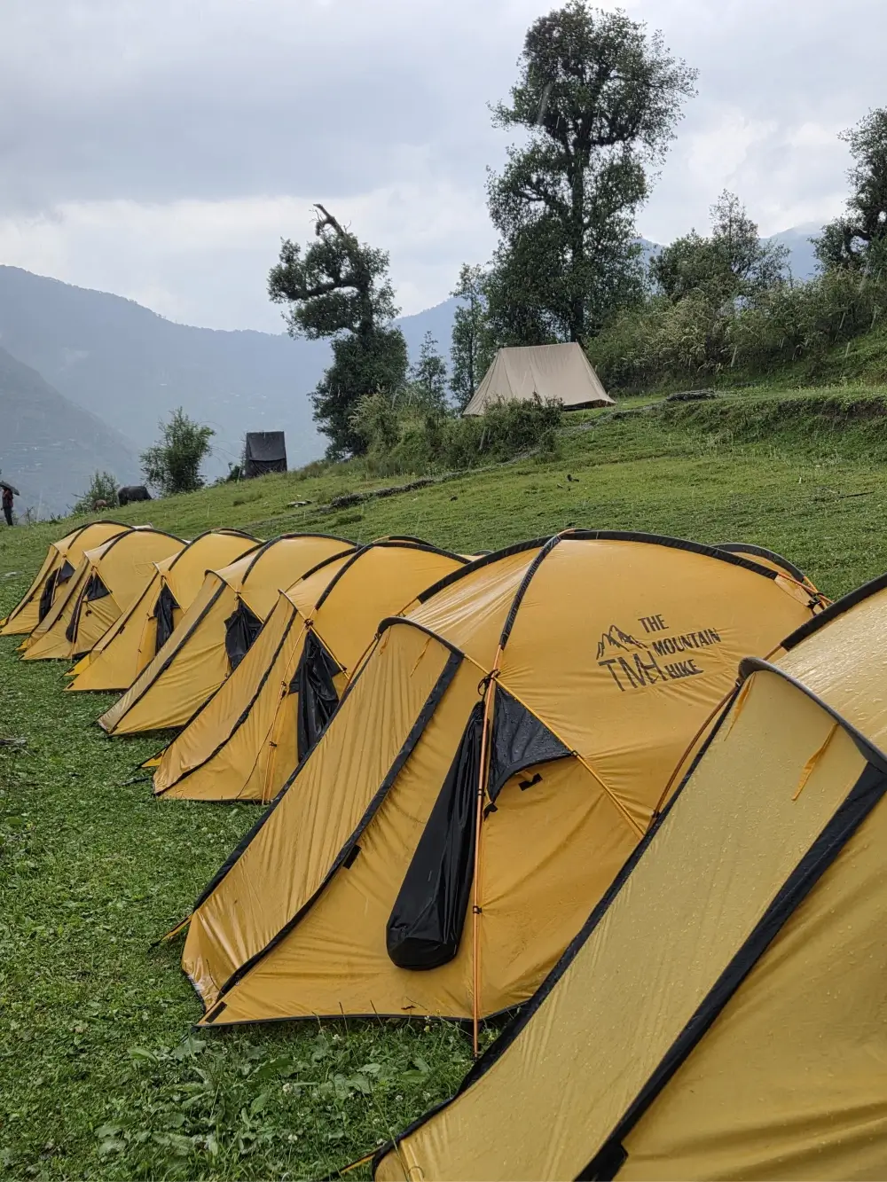 Roopkund Trek camping tents in an alpine meadow of Uttarakhand