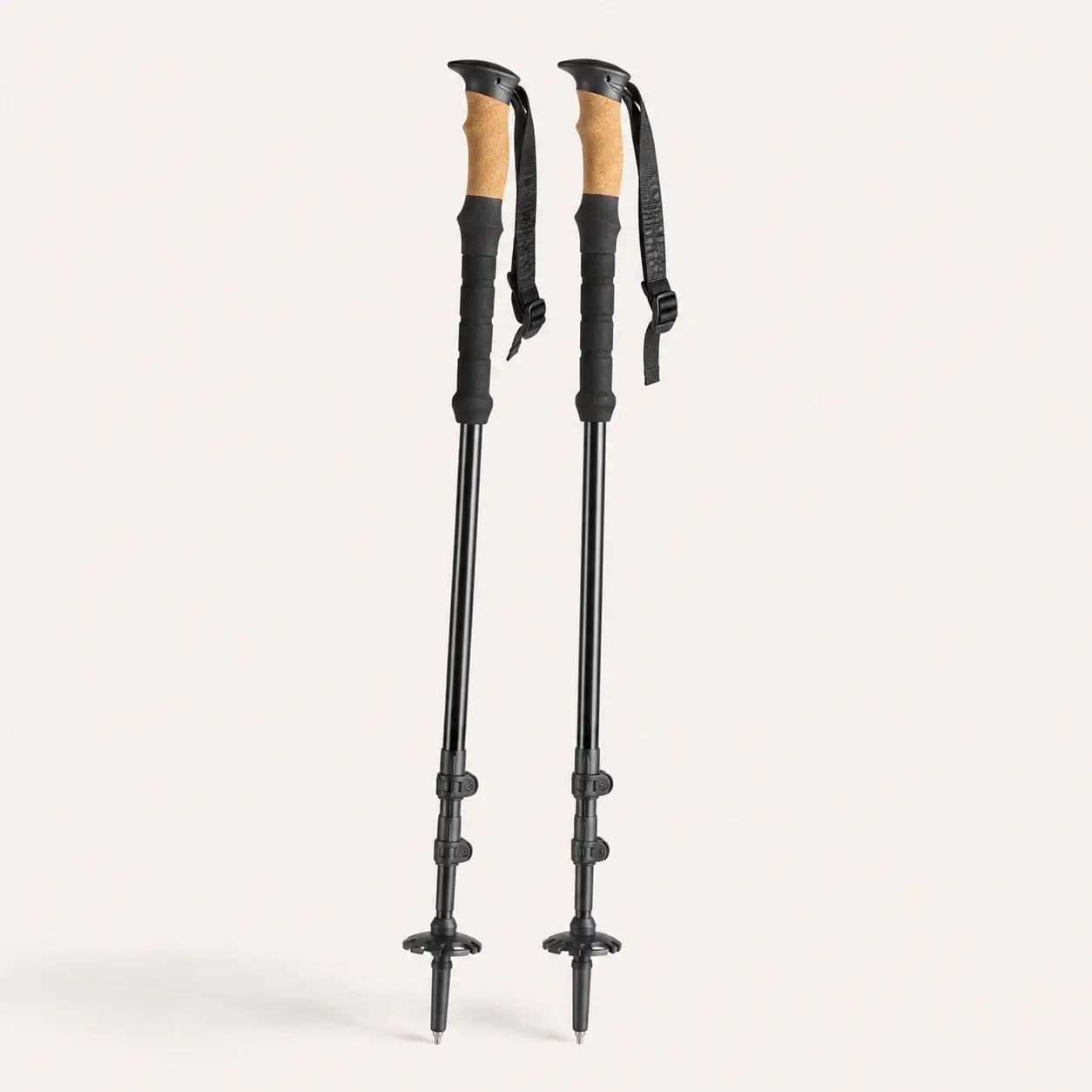 Trekking poles available for rent