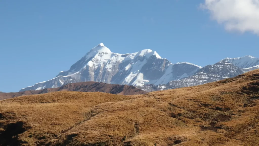 Why Ali Bedni Bugyal Trek Is a Must-Visit This Season — A Local Perspective from The Mountain Hike