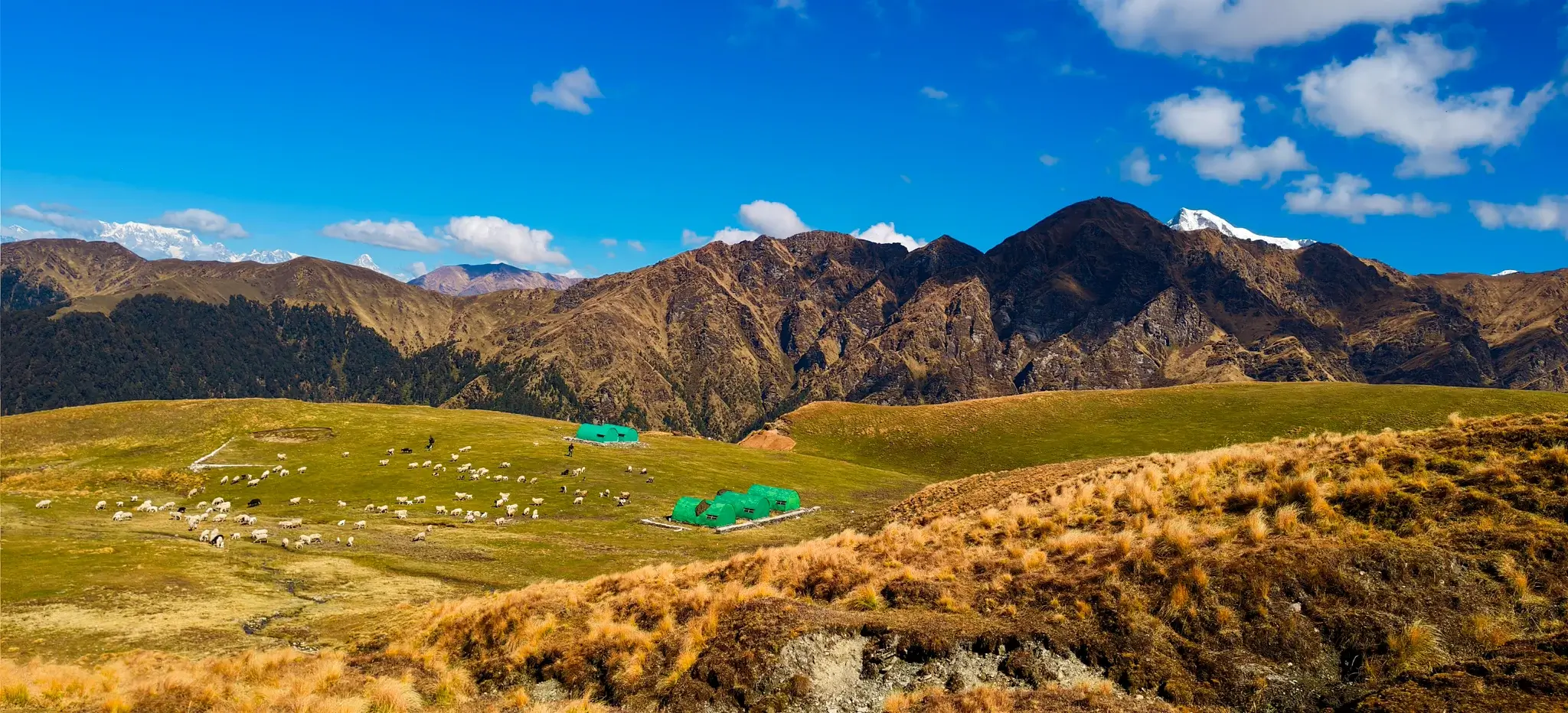 Ali Bedni Bugyal meadow camp