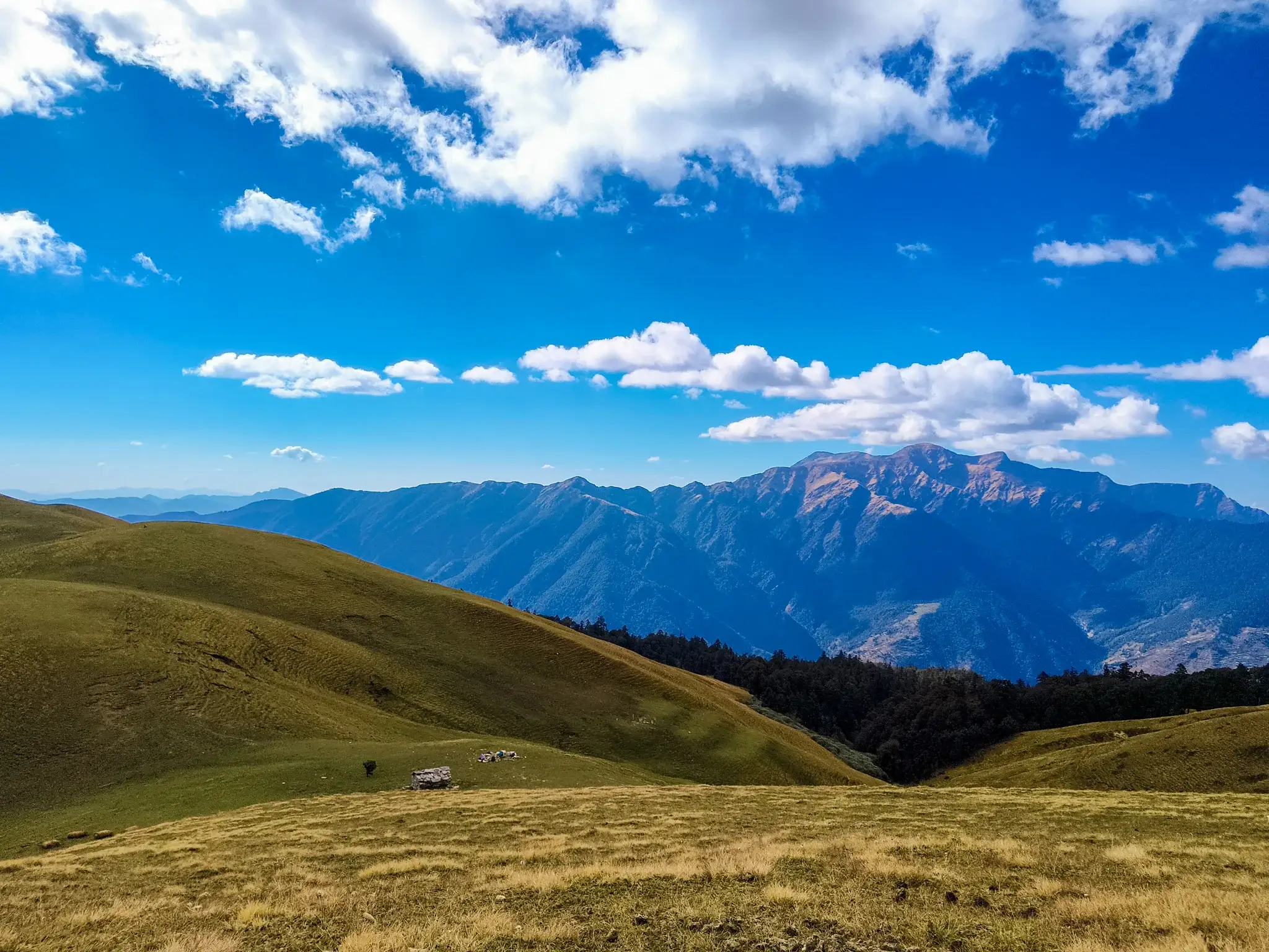 Ali Bedni Bugyal Himalayan landscape