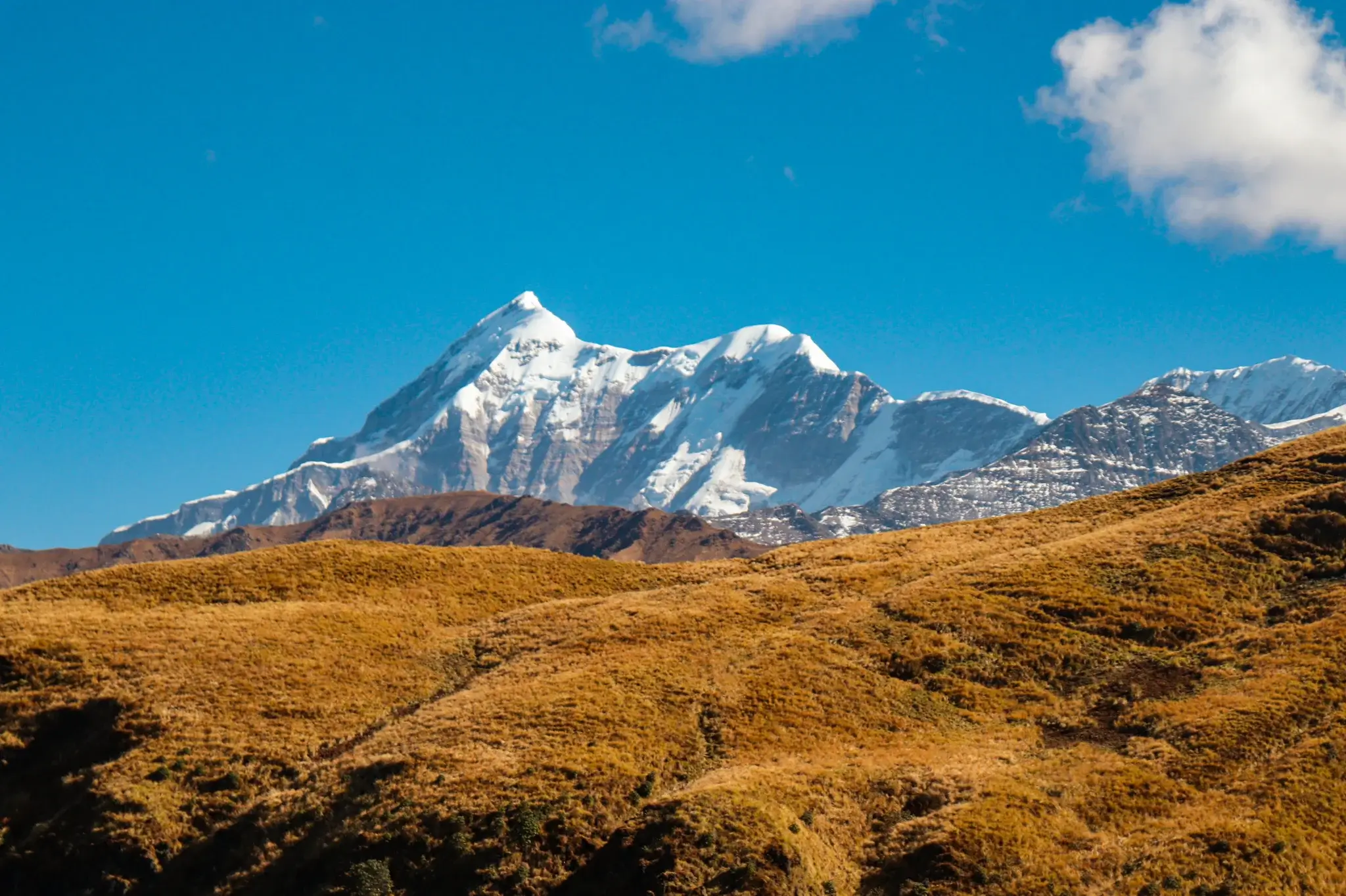 Ali Bedni Bugyal snow mountain view