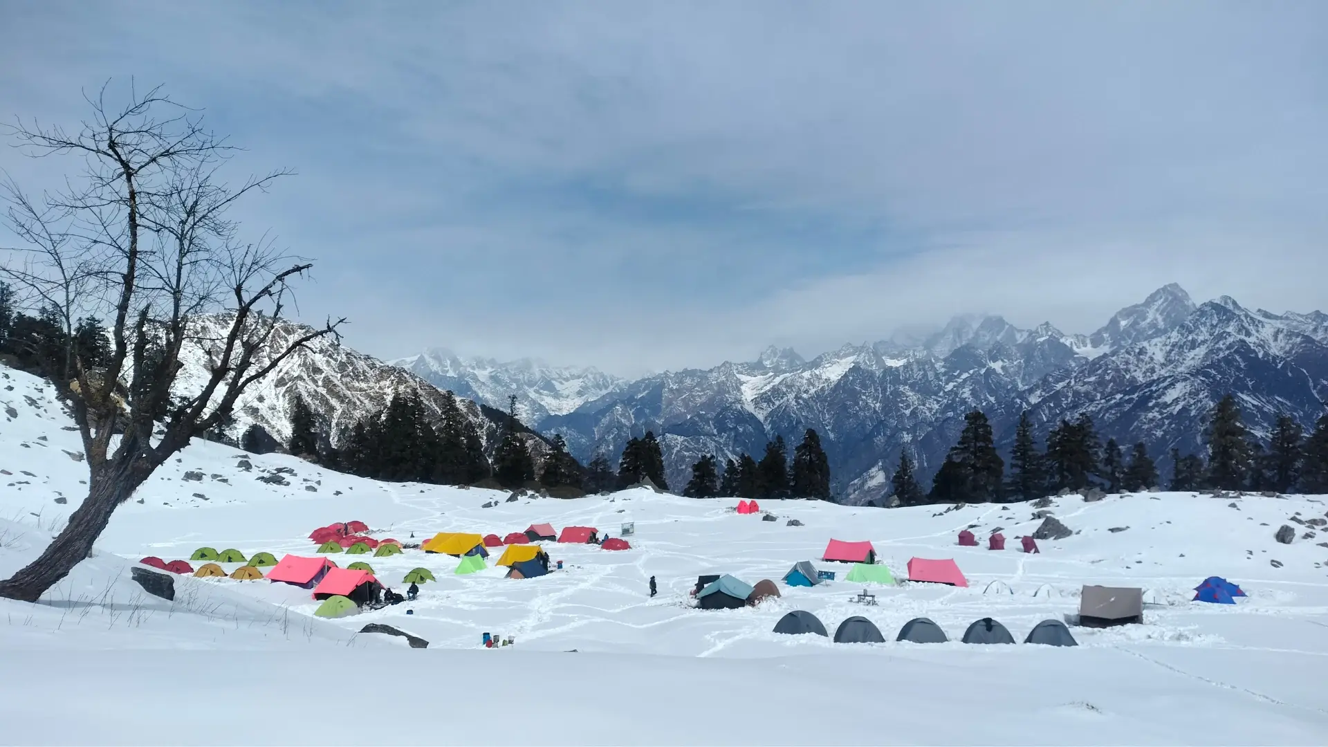 Kuari Pass Trek in the Himalayas, Uttarakhand