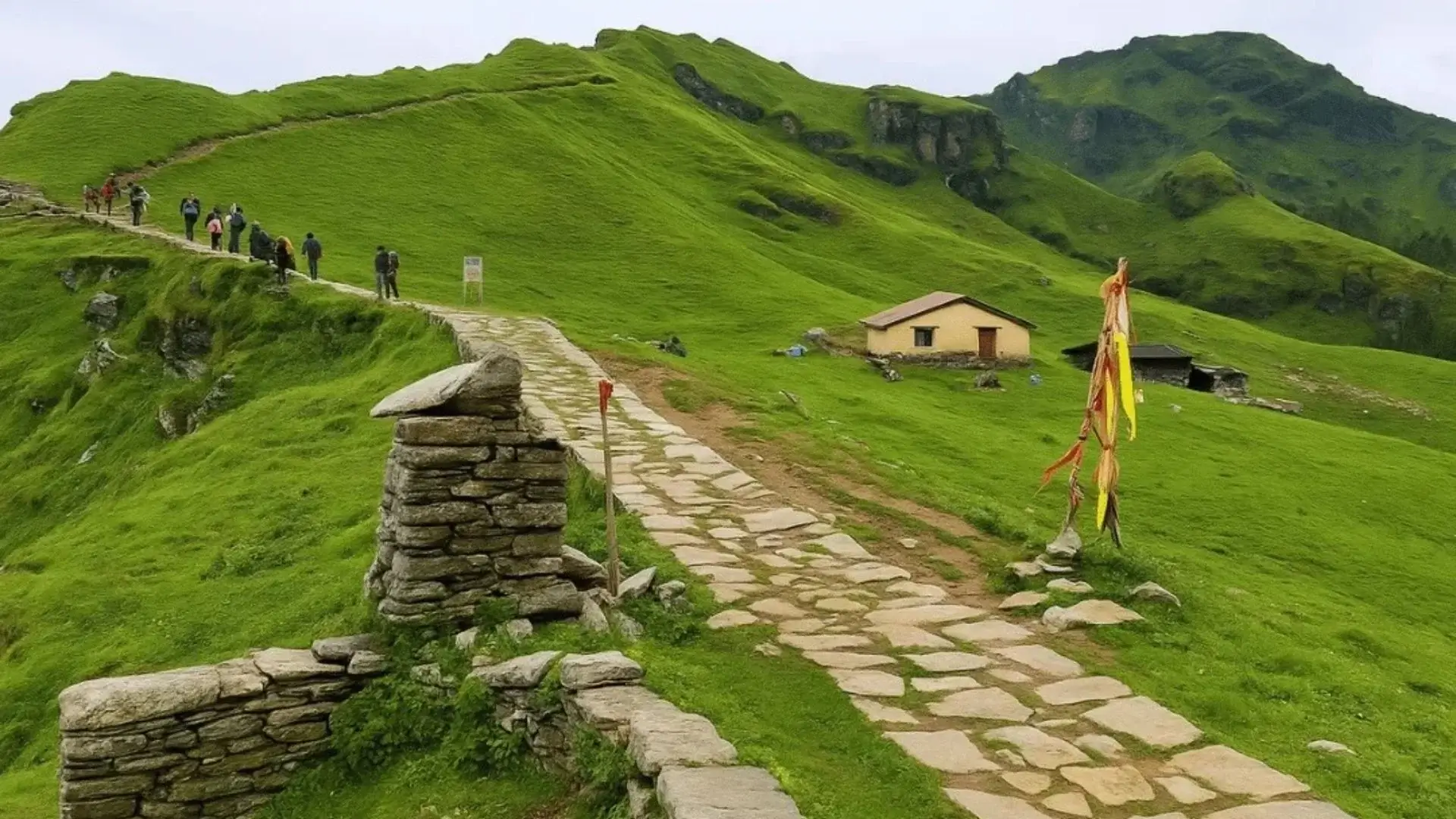 Rudranath Trek