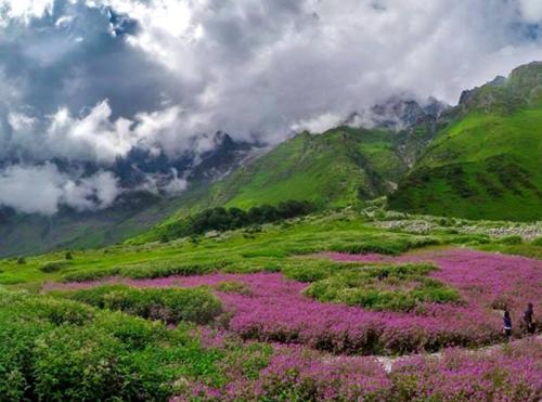 valley-of-flower-img